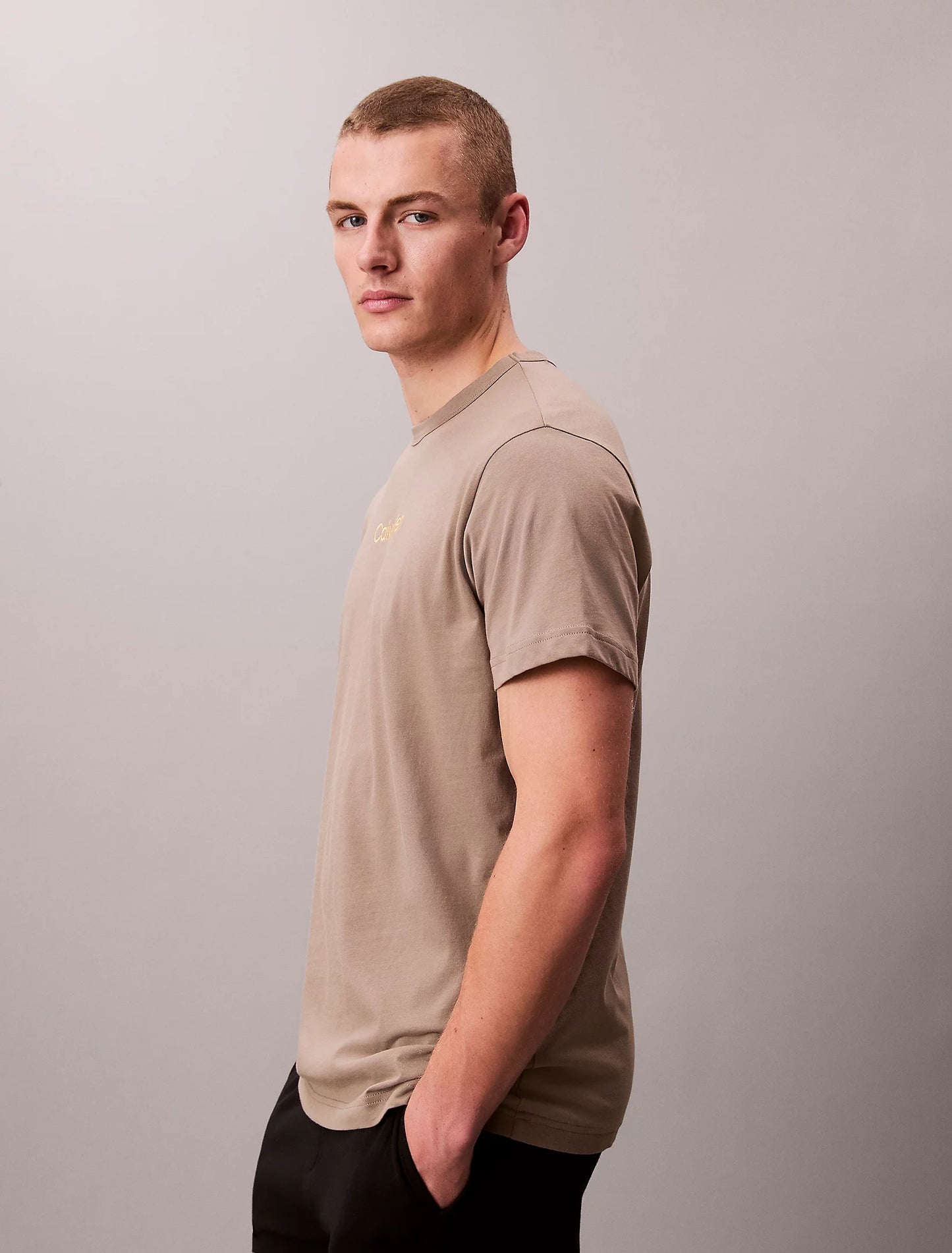 T-shirt in cotone Calvin Klein 000NM2748E WD6