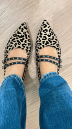 Ballerina maculata Divine Follie Delia 2369