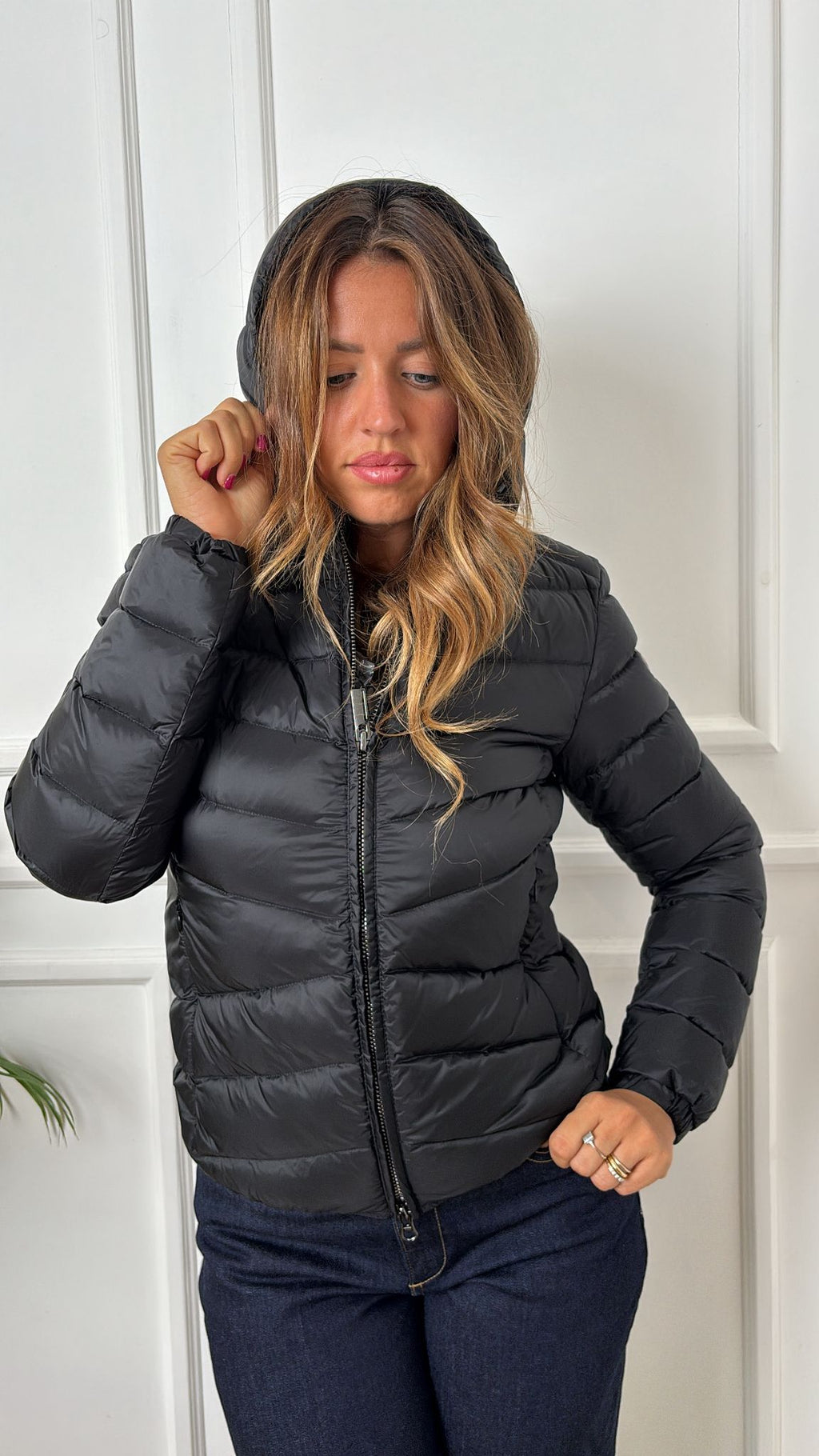 Bomber Colmar 2219 2YO 99