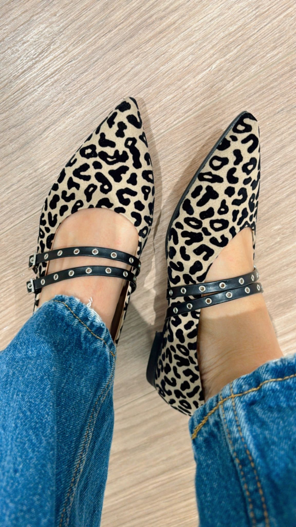 Ballerina maculata Divine Follie Delia 2369