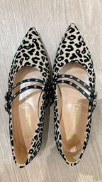 Ballerina maculata Divine Follie Delia 2369