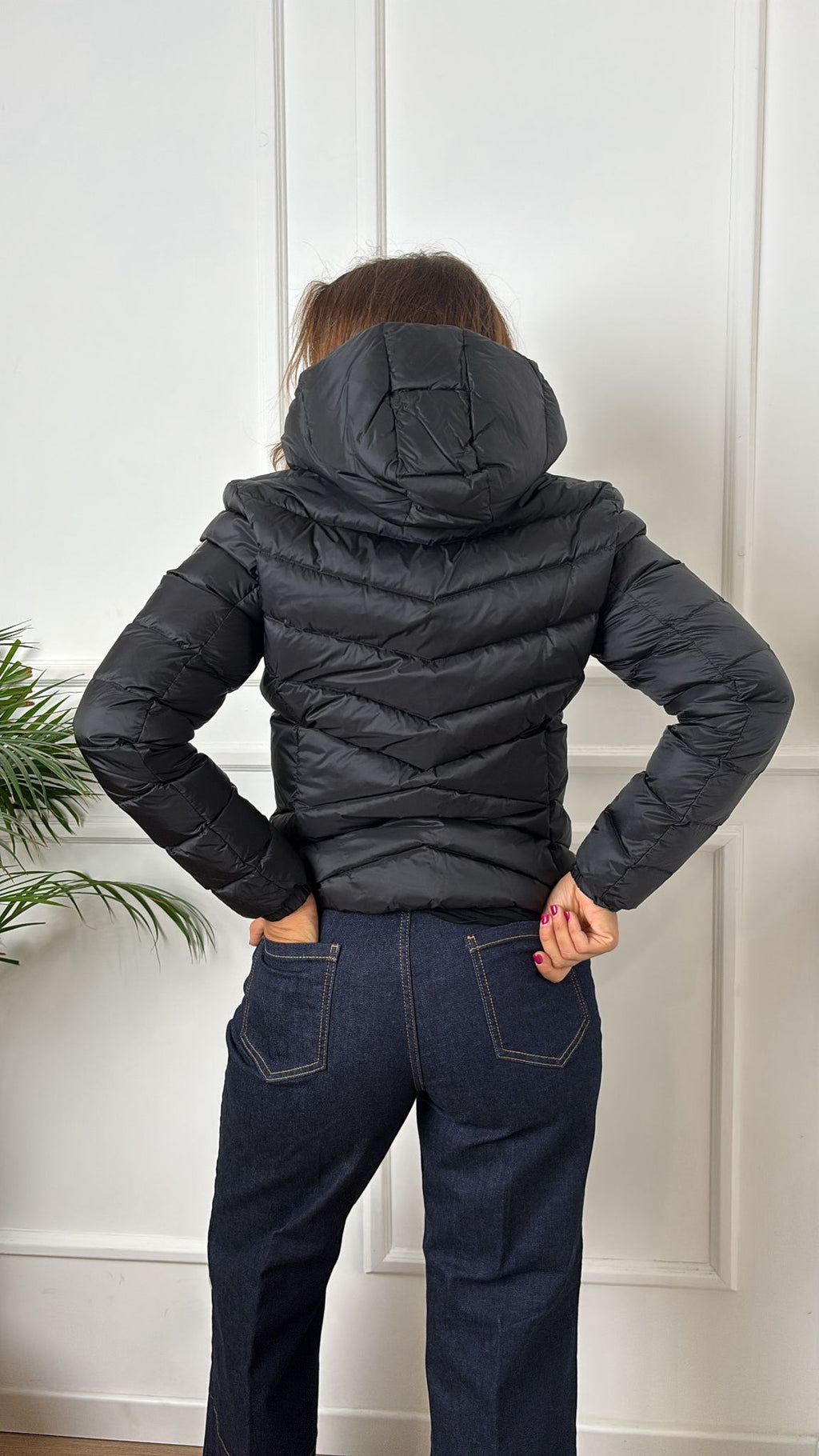 Bomber Colmar 2219 2YO 99